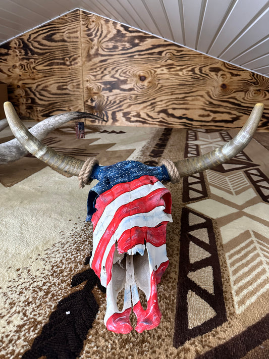 American Cow Skull (Real)