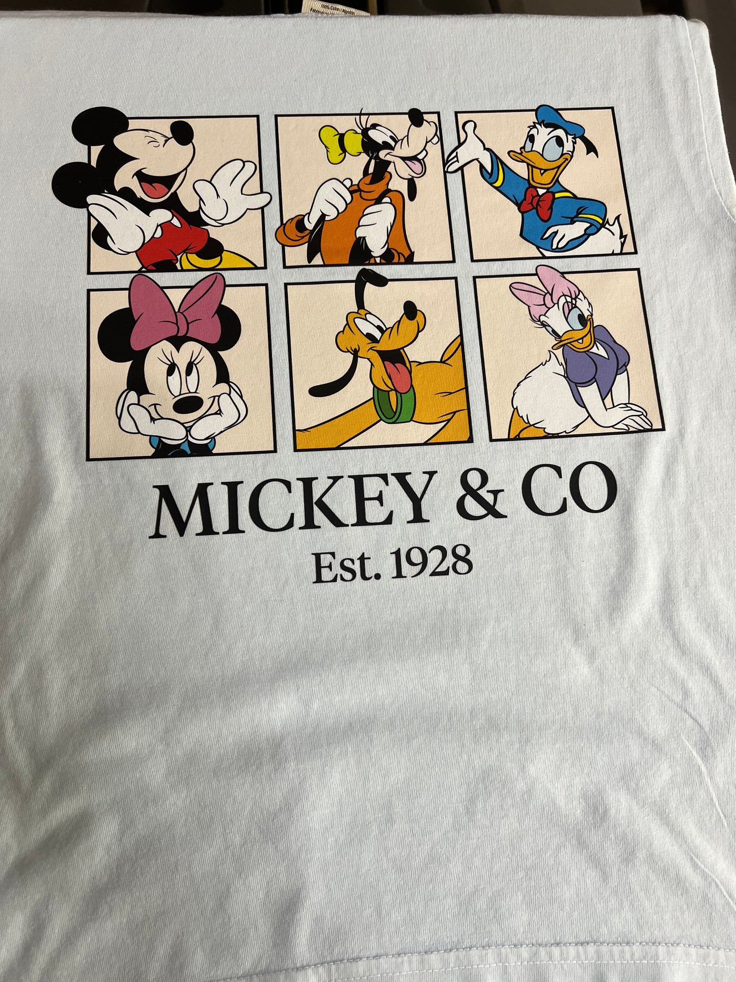 Mickey & Company 2